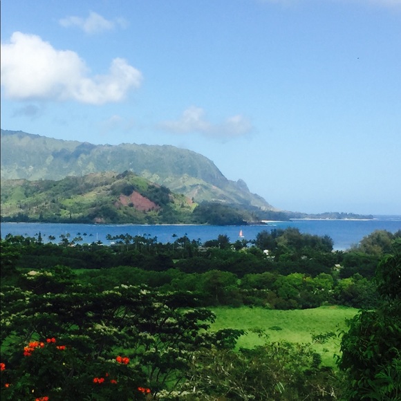 Meet your Posher, Yesi - Picture 3 of 9